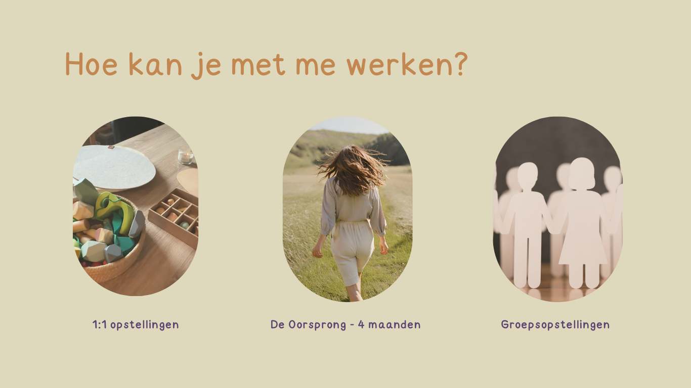 hoe kan je met me werken
